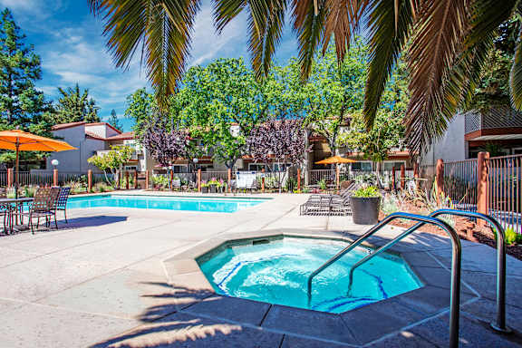 A pool surrounded by palm trees and patio furniture.
