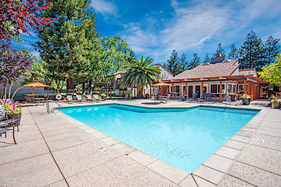 A large swimming pool surrounded by trees and a house in the background.