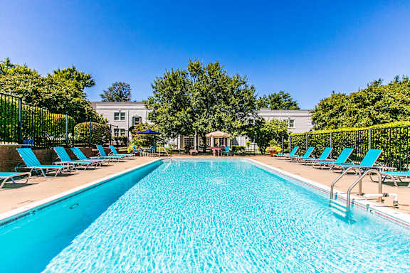 A large blue swimming pool surrounded by lounge chairs and trees.
