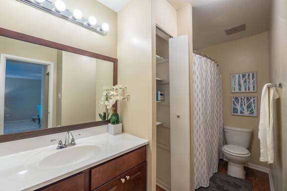 A bathroom with a sink, mirror, toilet, and shower.