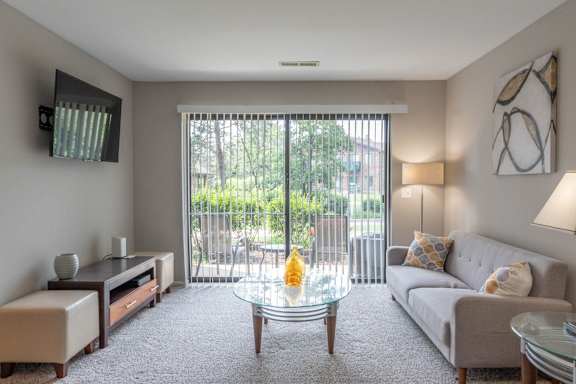 A living room with a grey couch and a patterned rug.