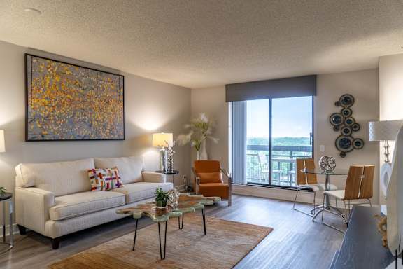 A living room with a grey couch and a patterned rug.