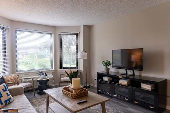 A living room with a grey couch and a patterned rug.