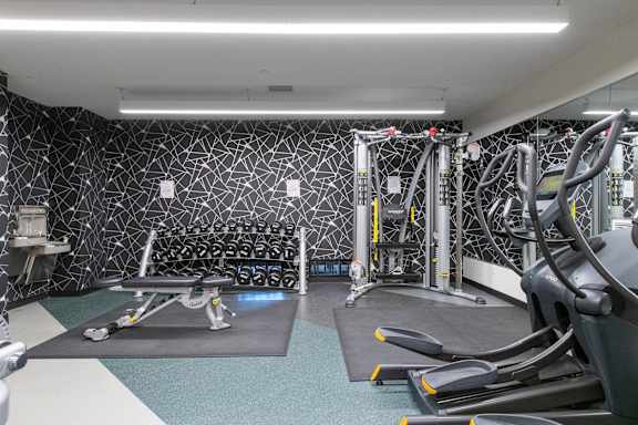 A gym with a variety of equipment including treadmills, weights, and a bench press.