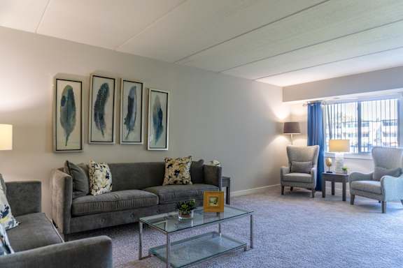 A living room with a grey couch and a patterned rug.