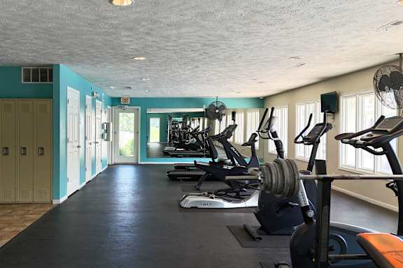 A gym with a row of treadmills and elliptical machines.