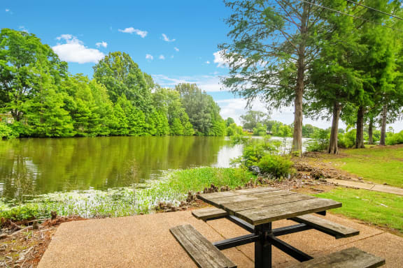 Picnic Area at The Oliver Apartment Homes in MS 38654