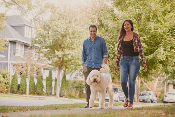 a man and woman walking their dog down a street
