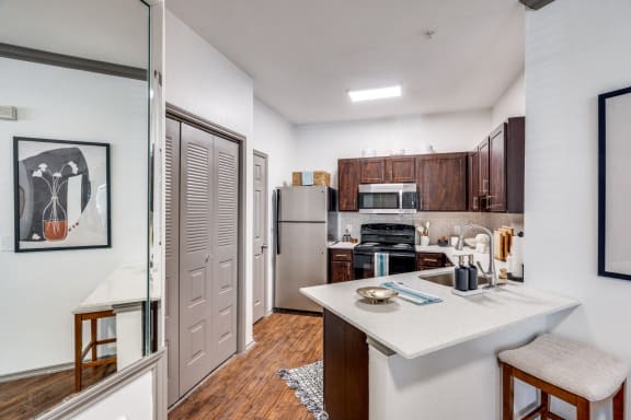 Palencia Apartments in Dallas, Texas Model Kitchen