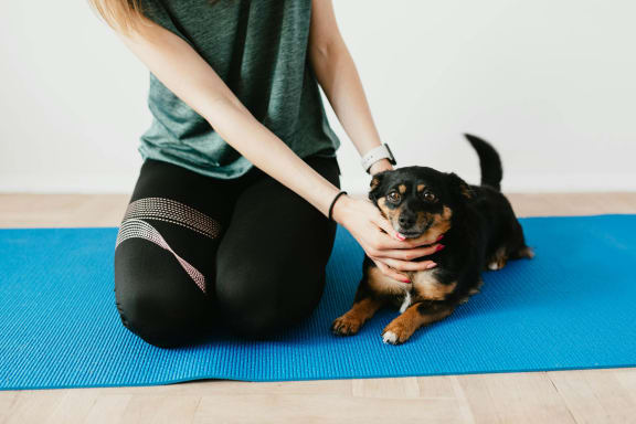 a woman sitting on a yoga mat with her dog