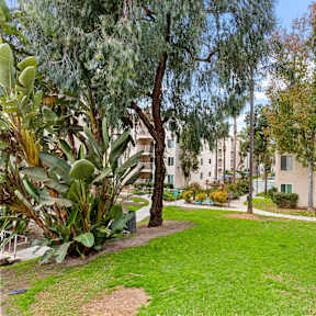 Green Lawn at La Regencia Apartments, San Diego, 92122