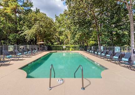 A large outdoor swimming pool surrounded by trees and lounge chairs. at Woodwinds, South Carolina, 29803