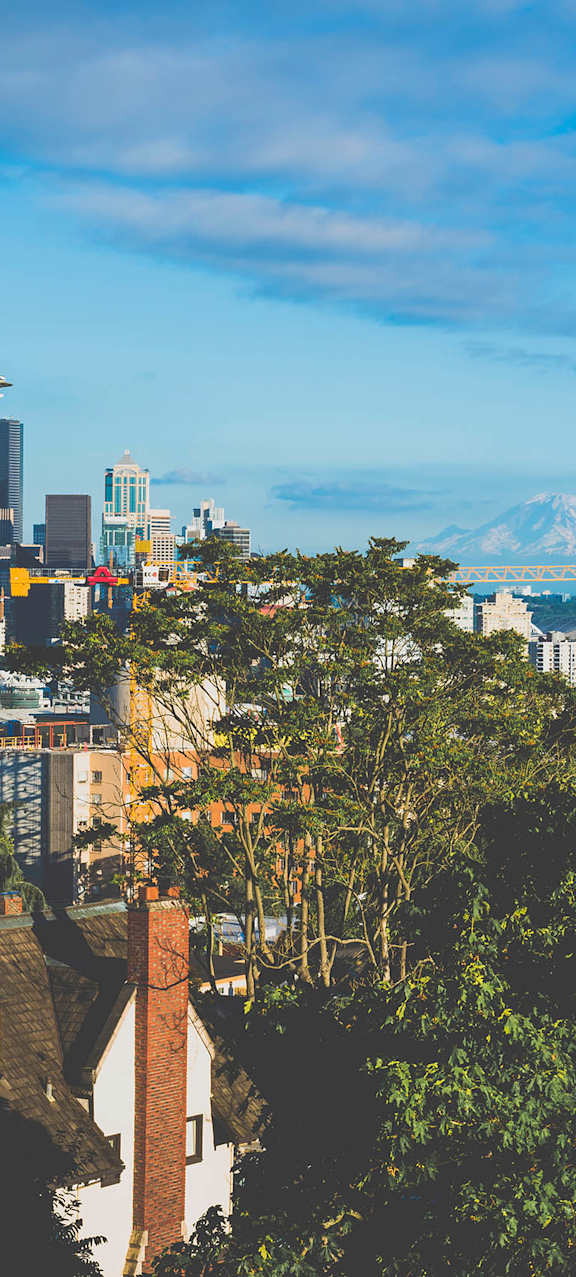 A cityscape with a mountain in the distance.