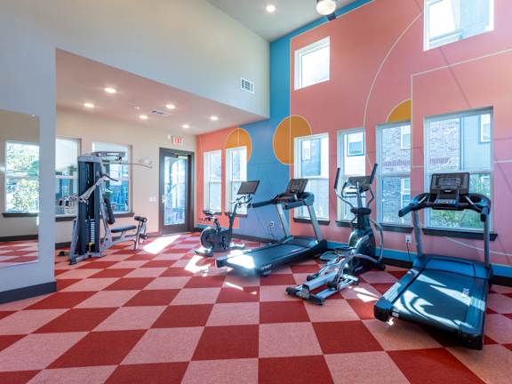 A gym with treadmills and exercise equipment.