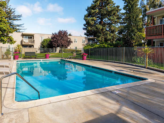 A swimming pool surrounded by a fence and trees.