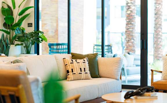 A living room with a white couch and a green plant.