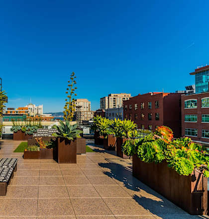 A patio with a couch and potted plants.at Arc Light, California, 94107