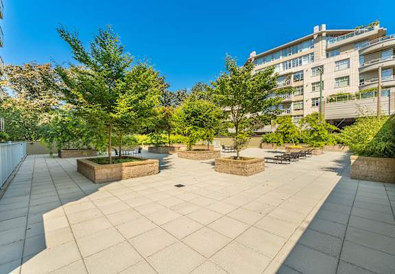 A courtyard with a bench and a tree in the middle.