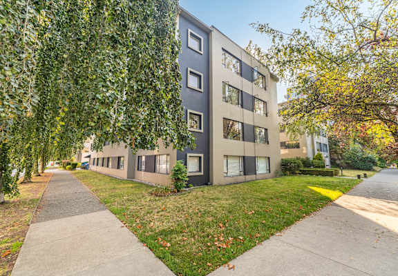 A tree with green leaves is in front of a grey building.
