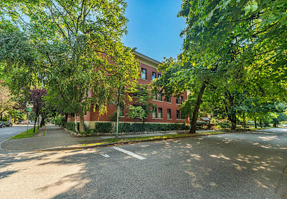 A tree-lined street with a red brick building on the corner.