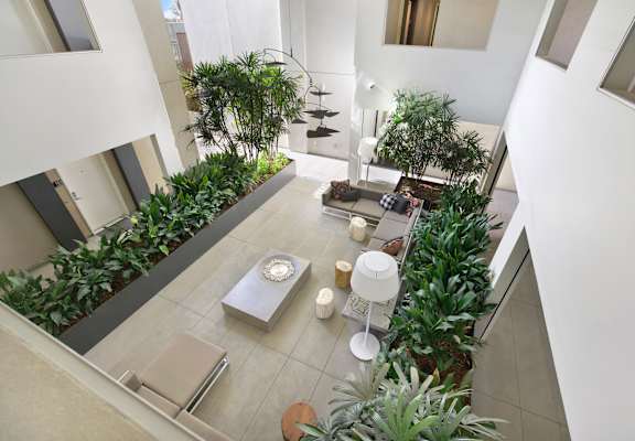 A living room with a couch, a table, and a potted plant at The Urbanpolitan, Los Angeles