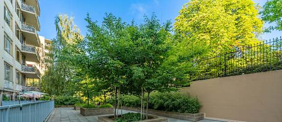 A patio with a concrete floor and a tree in a planter box.