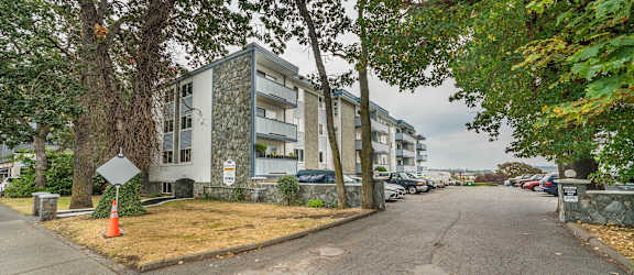 A tree-lined street with apartment buildings on either side.