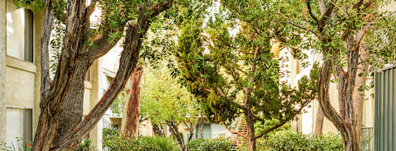 a walkway through trees and plants in an apartment building