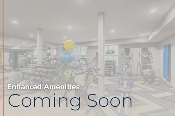 the gym is equipped with cardio equipment and weights