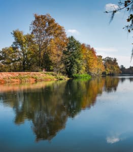 a view of a river with trees on the side of it at Residence at Riverwatch in Augusta, GA 30909