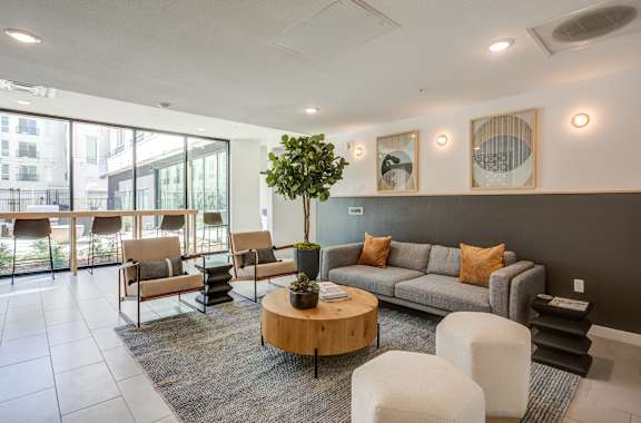 A living room with a grey couch, a coffee table, and a potted plant at THE MOD AT MIDTOWN Apartments, Sacramento, CA