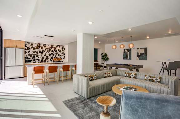 A modern living room with a grey couch and a wooden coffee table A living room with a grey couch, a coffee table, and a potted plant at THE MOD AT MIDTOWN Apartments, Sacramento, CA, 95814