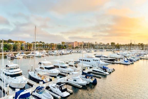 the harbor at sunset at the marina at the pearl