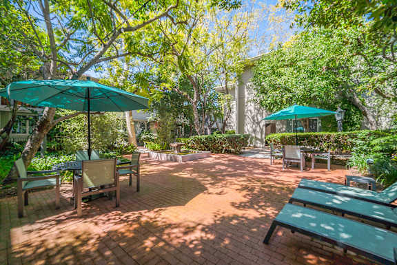 A sunny day at the park with green umbrellas and benches.