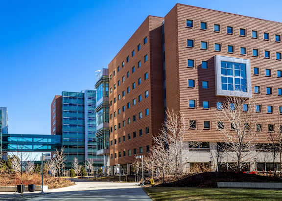 Car Parking at Park 146, Colorado, 80011