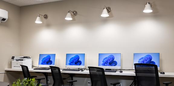 A room with four computers and a potted plant on a table.