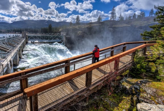 a man in a red jacket stands on a wooden bridge overlooking a waterfall