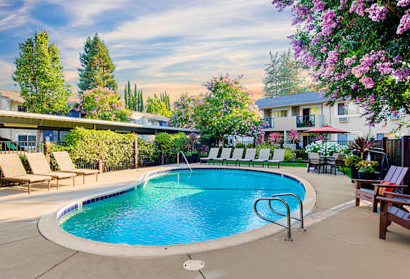 A pool surrounded by chairs and trees.