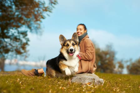 a woman and her dog sitting on a rock in the grass at Georgian Oaks Apartments, Smyrna , Georgia