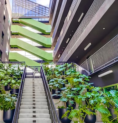 A staircase with a green plant on each step.