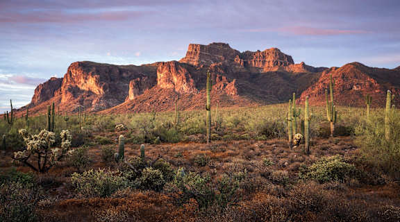 Desert landscape with rocks at Hampton Meridian, Apache Junction, AZ