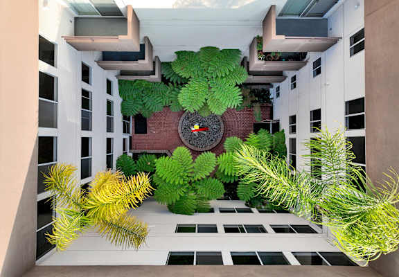 A green plant is in the middle of a room at Peach Tree Court, Los Angeles, 90024