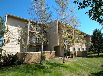 Outside of building with tree and lawn at Timberleaf Apartments in Lakewood CO