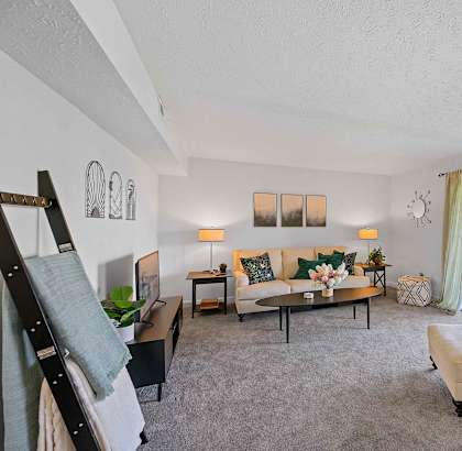 A living room with a grey carpet and furniture.