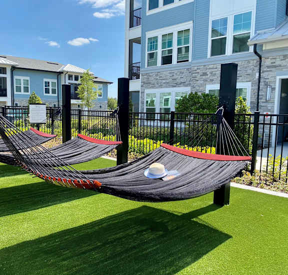 hammocks