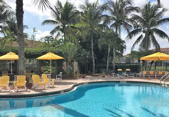 A pool surrounded by palm trees and yellow sun loungers.