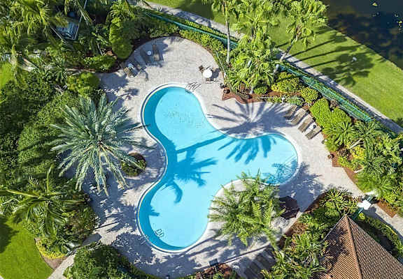 A heart-shaped pool surrounded by palm trees.
