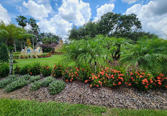 a garden with palm trees and colorful flowers at Hidden Palms Apartment Homes, Tampa, FL, 33613
