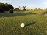 golf club