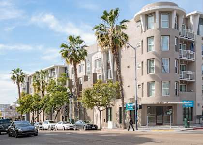 A street view of a building with palm trees in front.